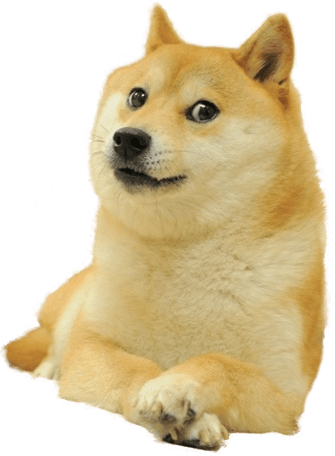 Meme Doge Transparent PNG Image