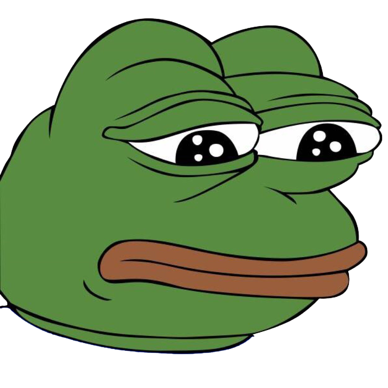 Meme Frog Transparent PNG Image