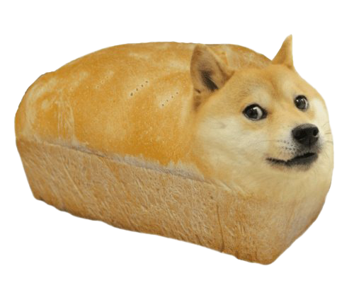 Shiba Inu Doge Meme Transparent PNG Image
