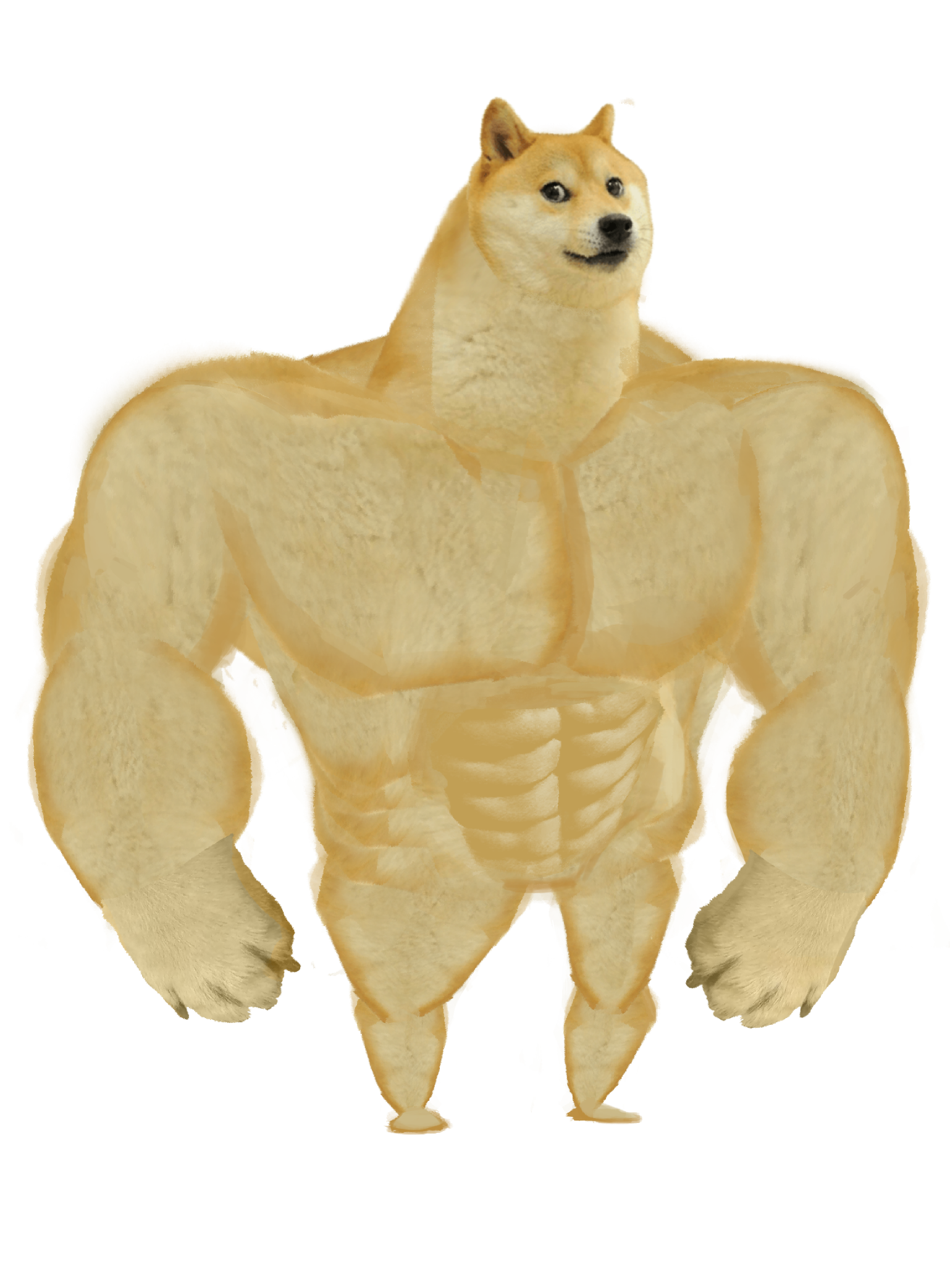 Shiba Inu Doge Meme Transparent PNG Image