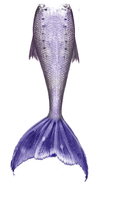 Mermaid Tail Transparent PNG Image
