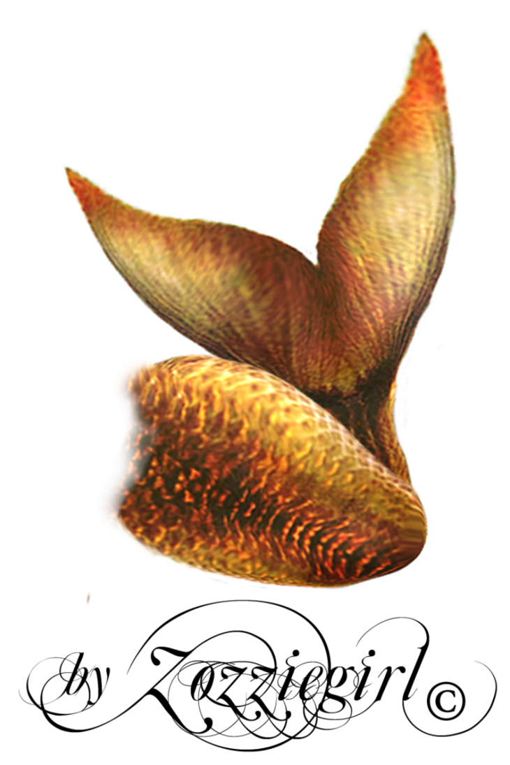 Mermaid Tail Transparent PNG Image