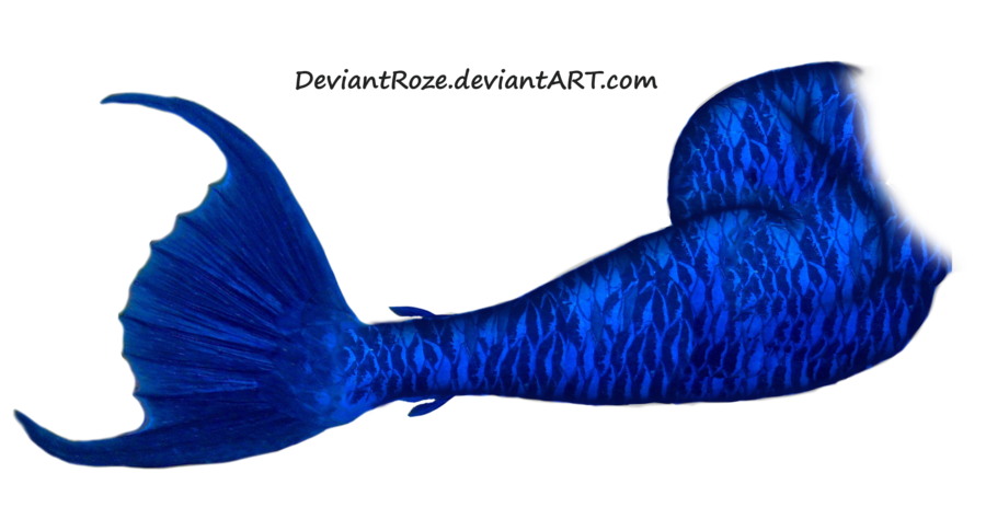 Mermaid Tail Transparent PNG Image