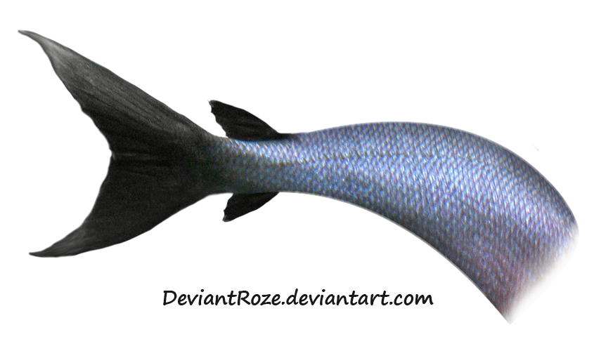 Mermaid Tail Transparent PNG Image