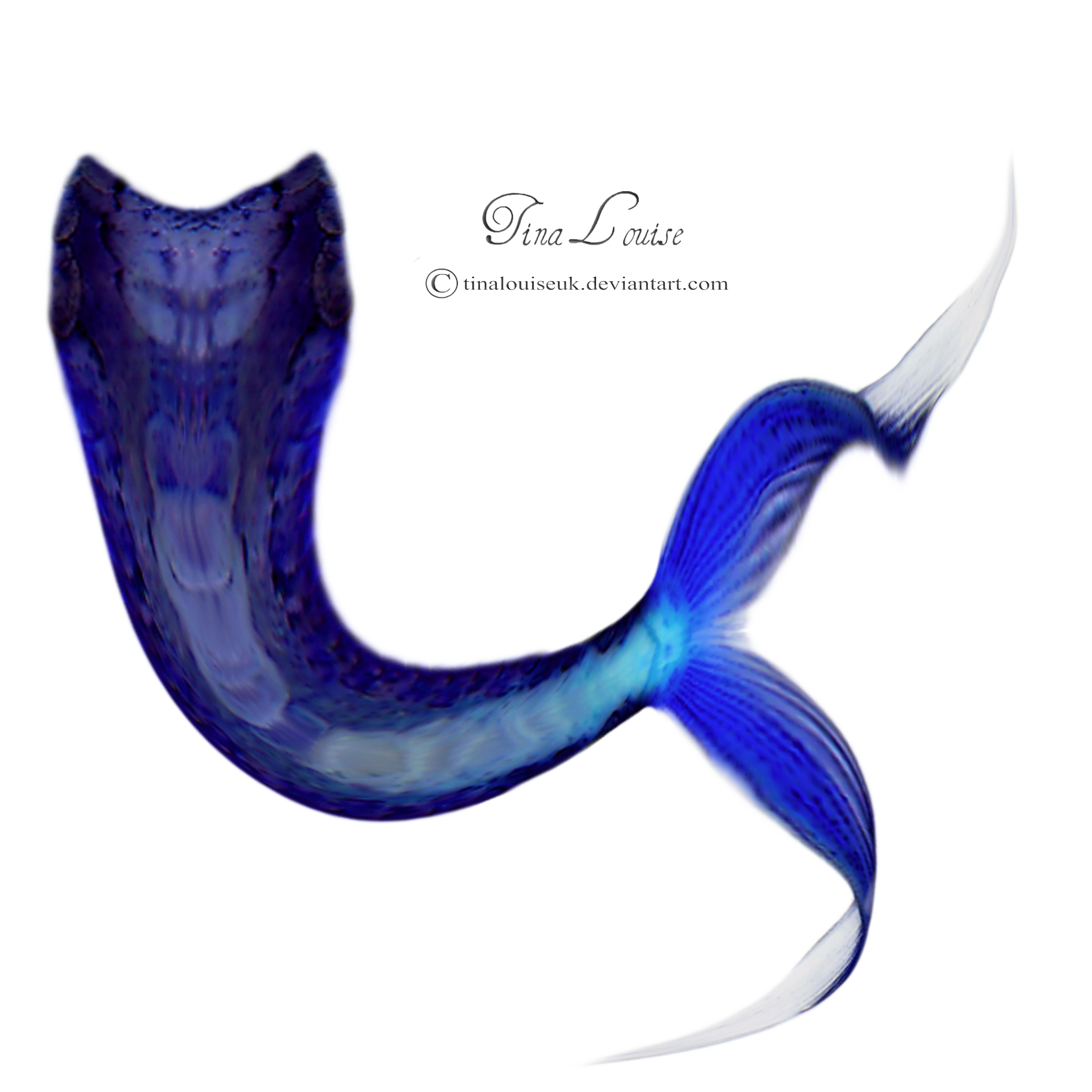 Mermaid Tail Transparent PNG Image