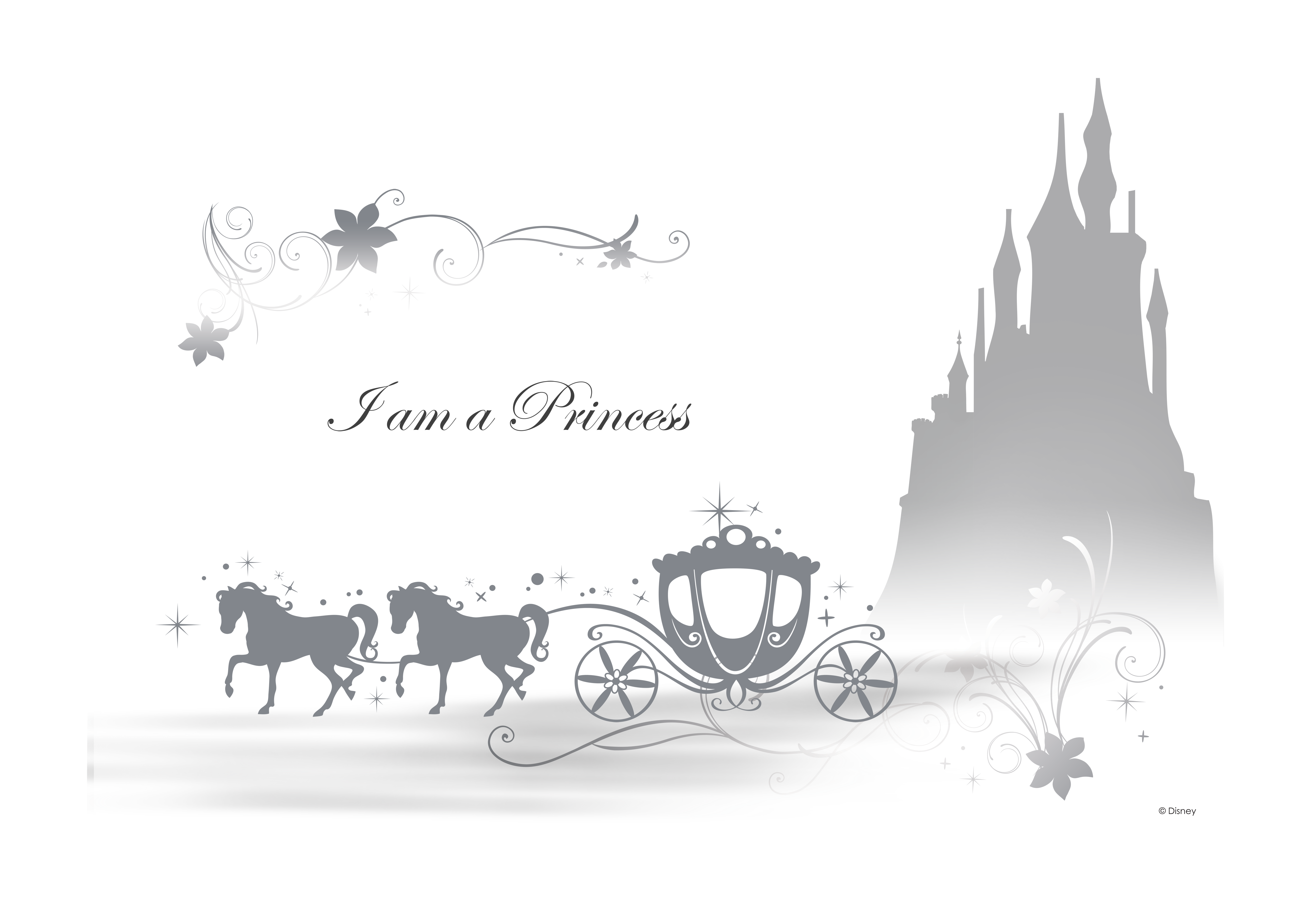 Mickey Beauty s Company Sleeping Walt Castle Transparent PNG Image