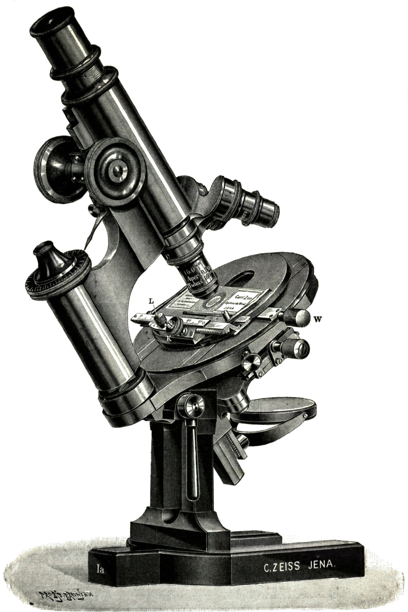 Microscope Transparent PNG Image