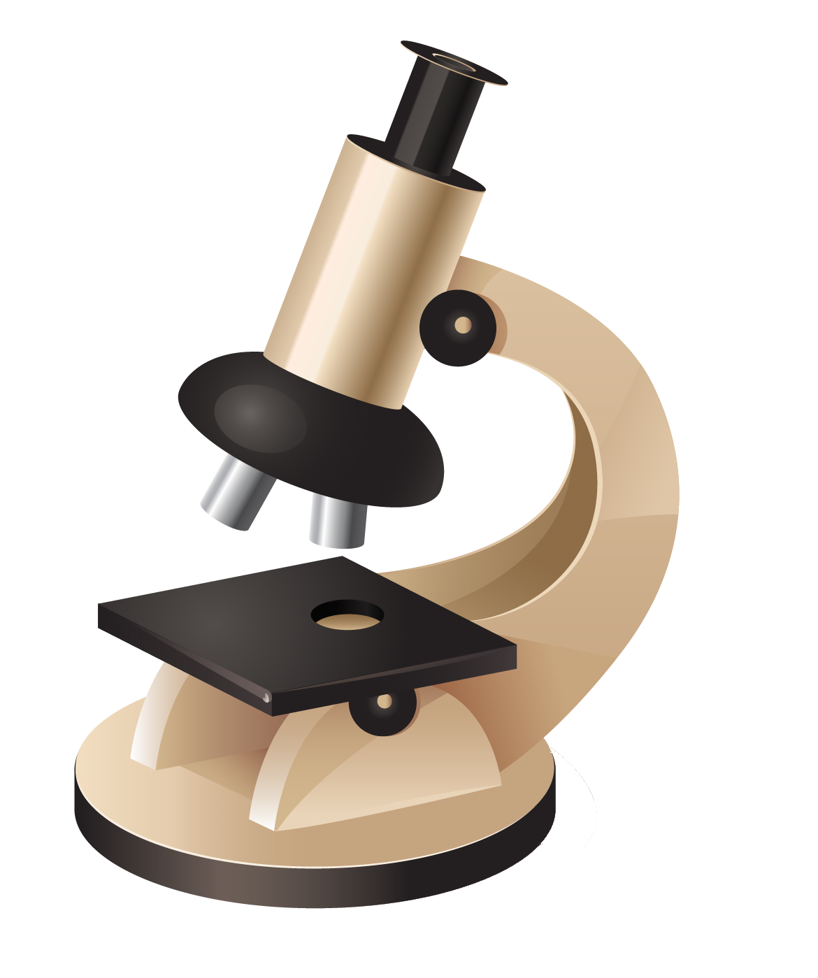 Microscope Transparent PNG Image