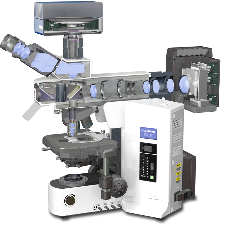 Microscope Transparent PNG Image