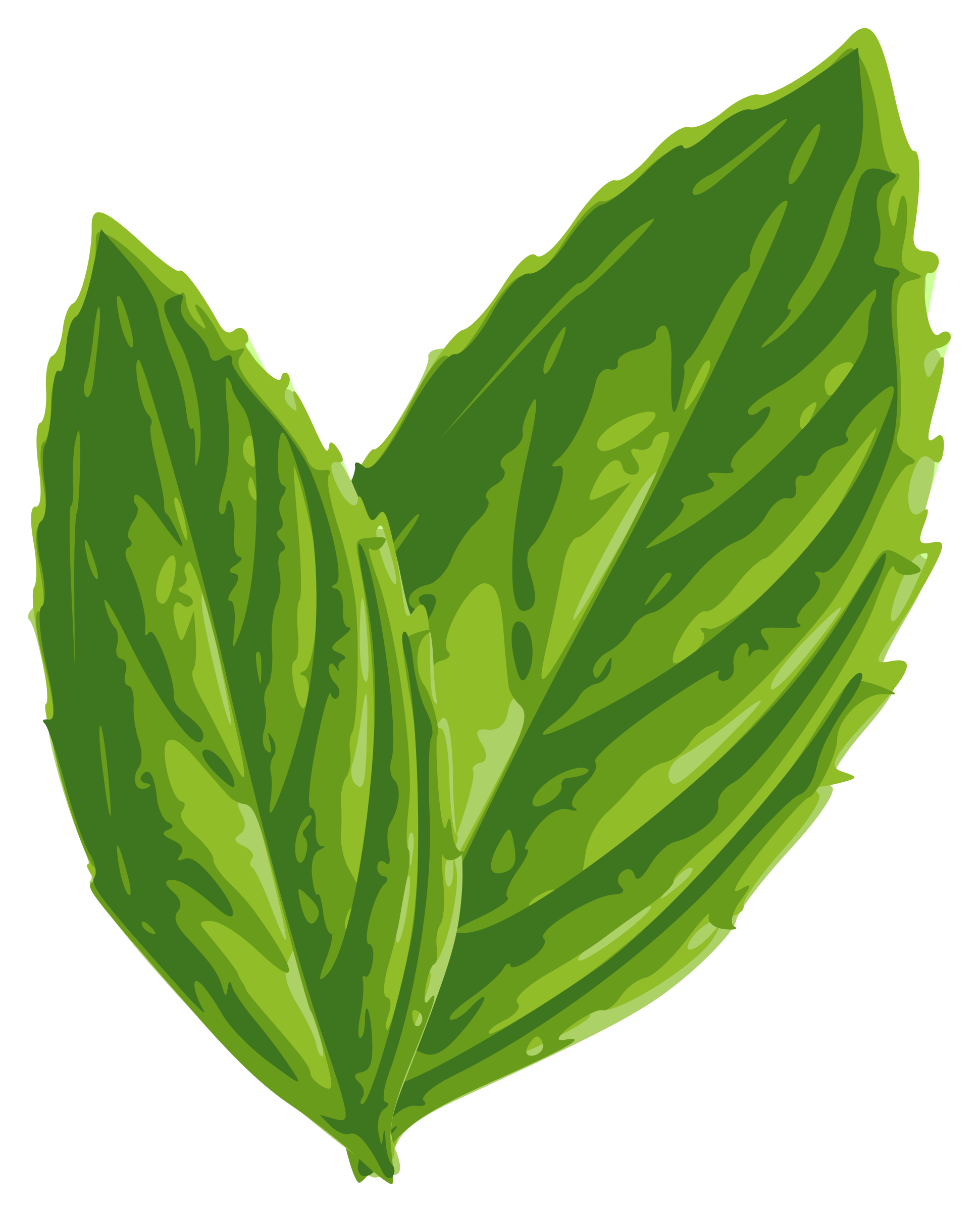 Mint Transparent PNG Image