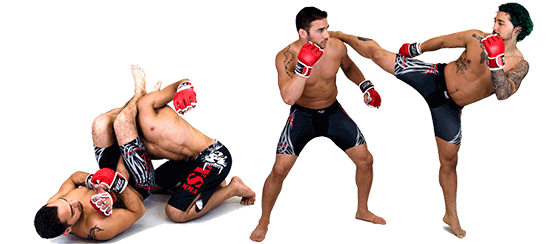 Mma Transparent PNG Image