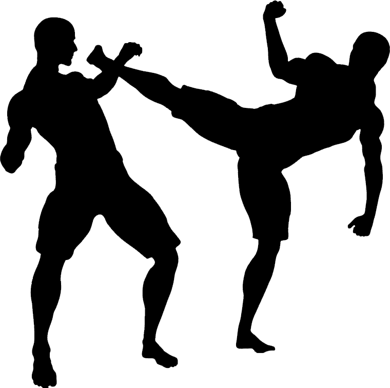 Mma Transparent PNG Image