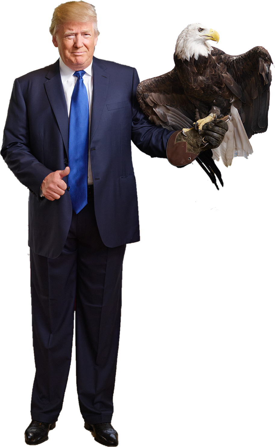 Category Beacon Sample Transparent PNG Image