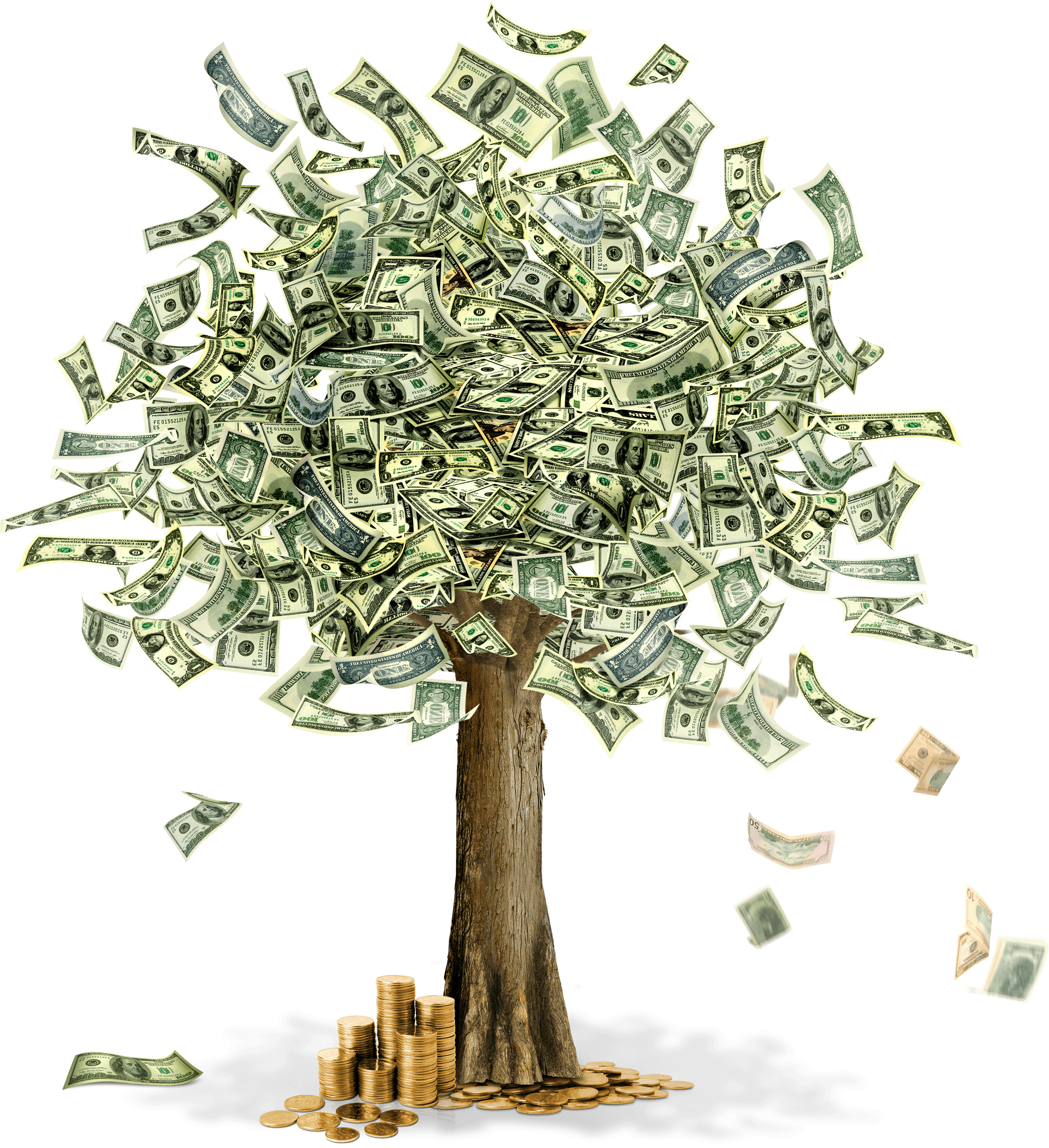 Money Tree Transparent PNG Image