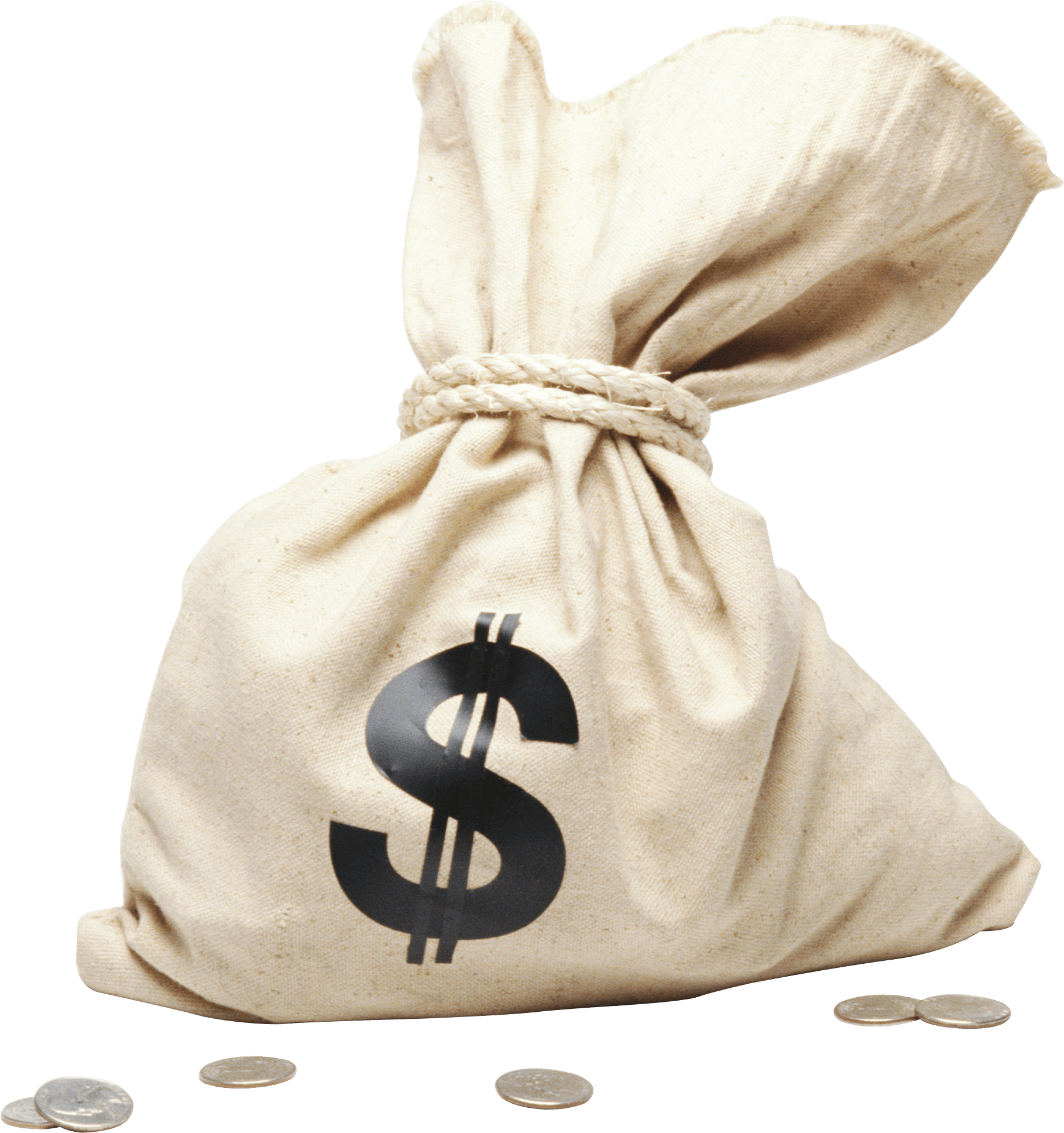 Money Bag Transparent PNG Image