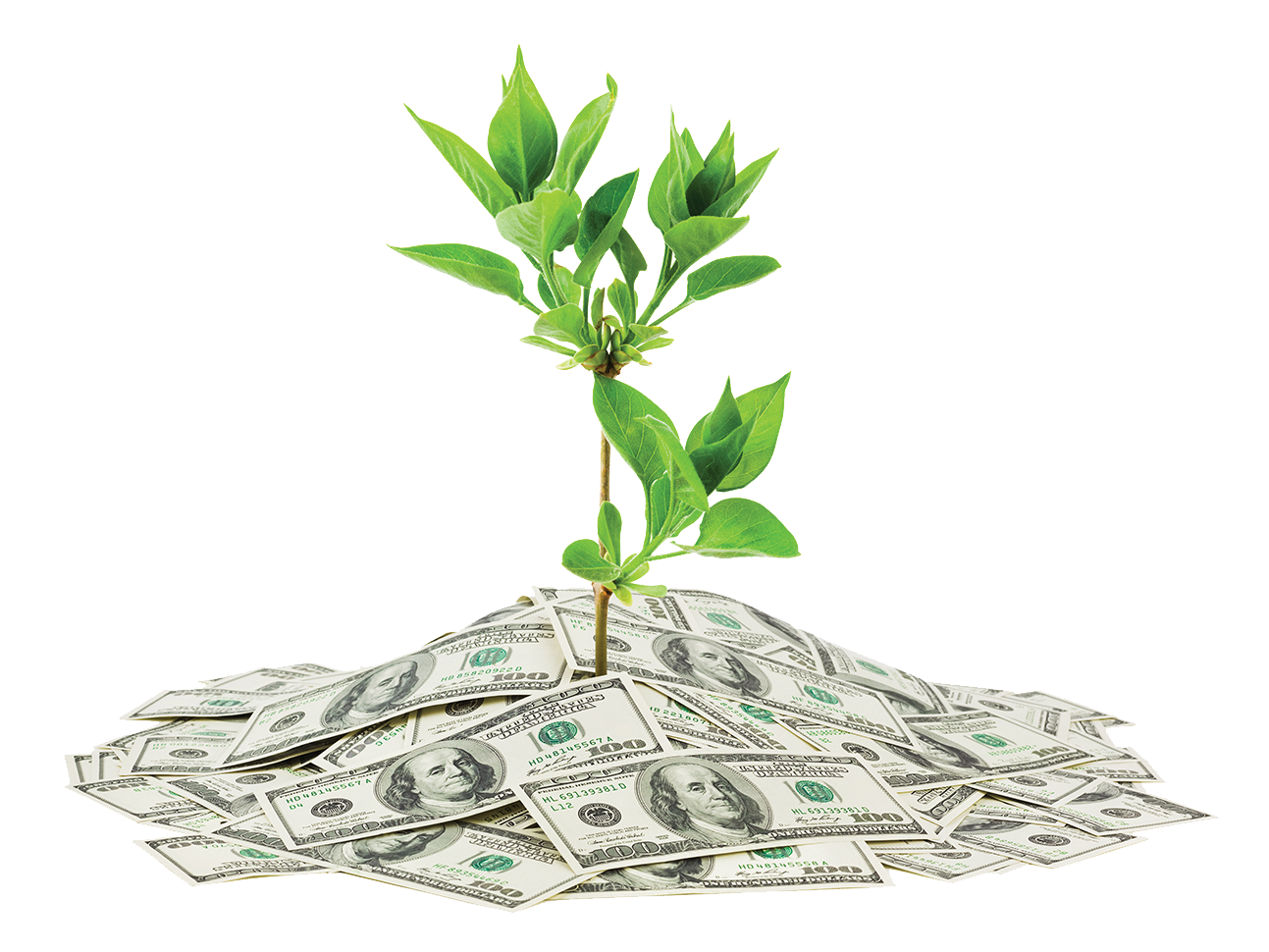 Wealth Transparent PNG Image