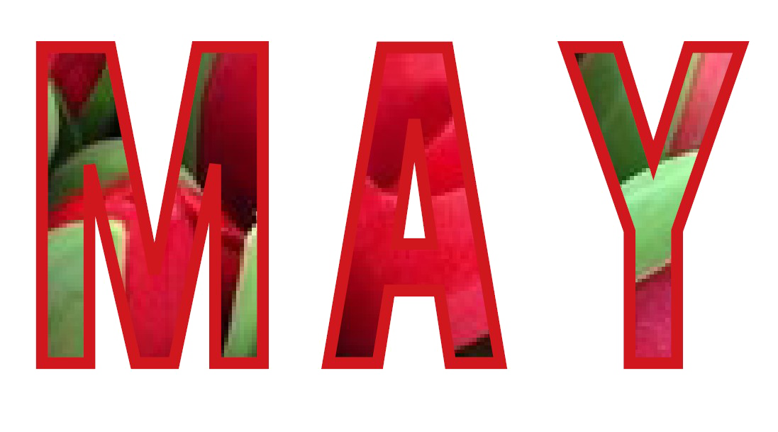 May Transparent PNG Image