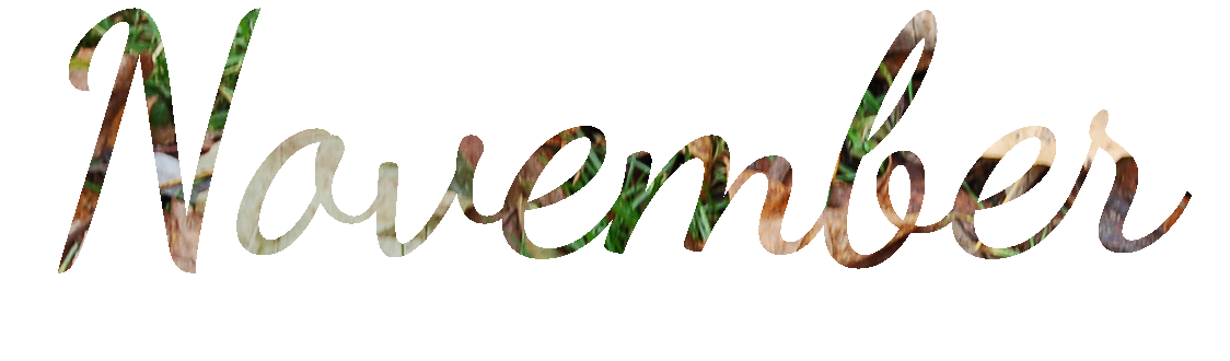 November Transparent PNG Image