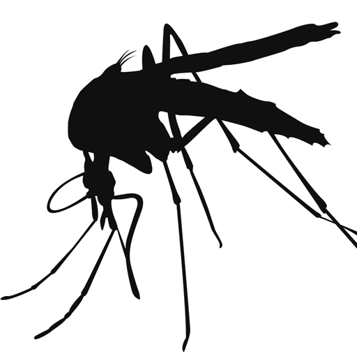 Mosquito High-Quality Transparent PNG Image