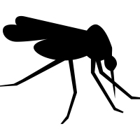 Mosquito Transparent PNG Image