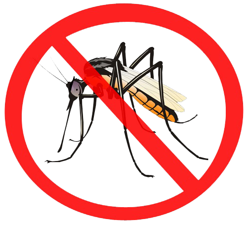 Mosquito Transparent PNG Image