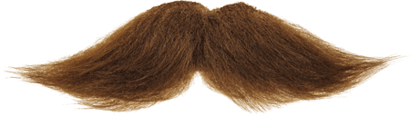 Moustache Transparent PNG Image