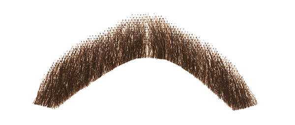 Moustache Transparent PNG Image