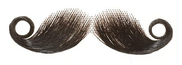 Fake Moustache Transparent PNG Image