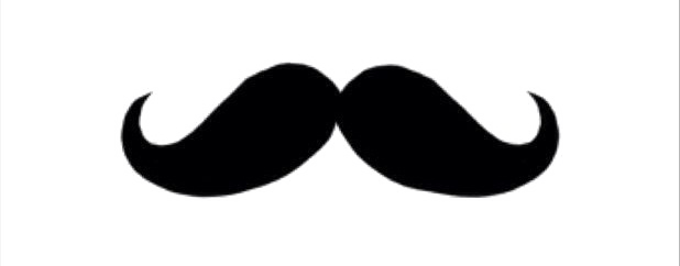 Fake Moustache Transparent PNG Image