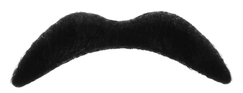 Fake Moustache Transparent PNG Image