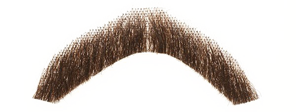 Fake Moustache Transparent PNG Image