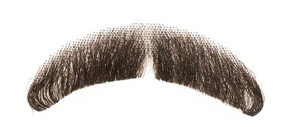 Fake Moustache Transparent PNG Image