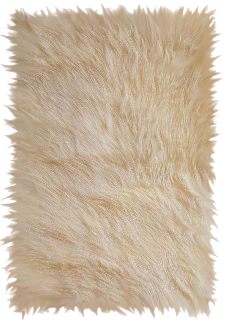 Carpet Transparent PNG Image