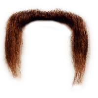 Moustache Transparent PNG Image