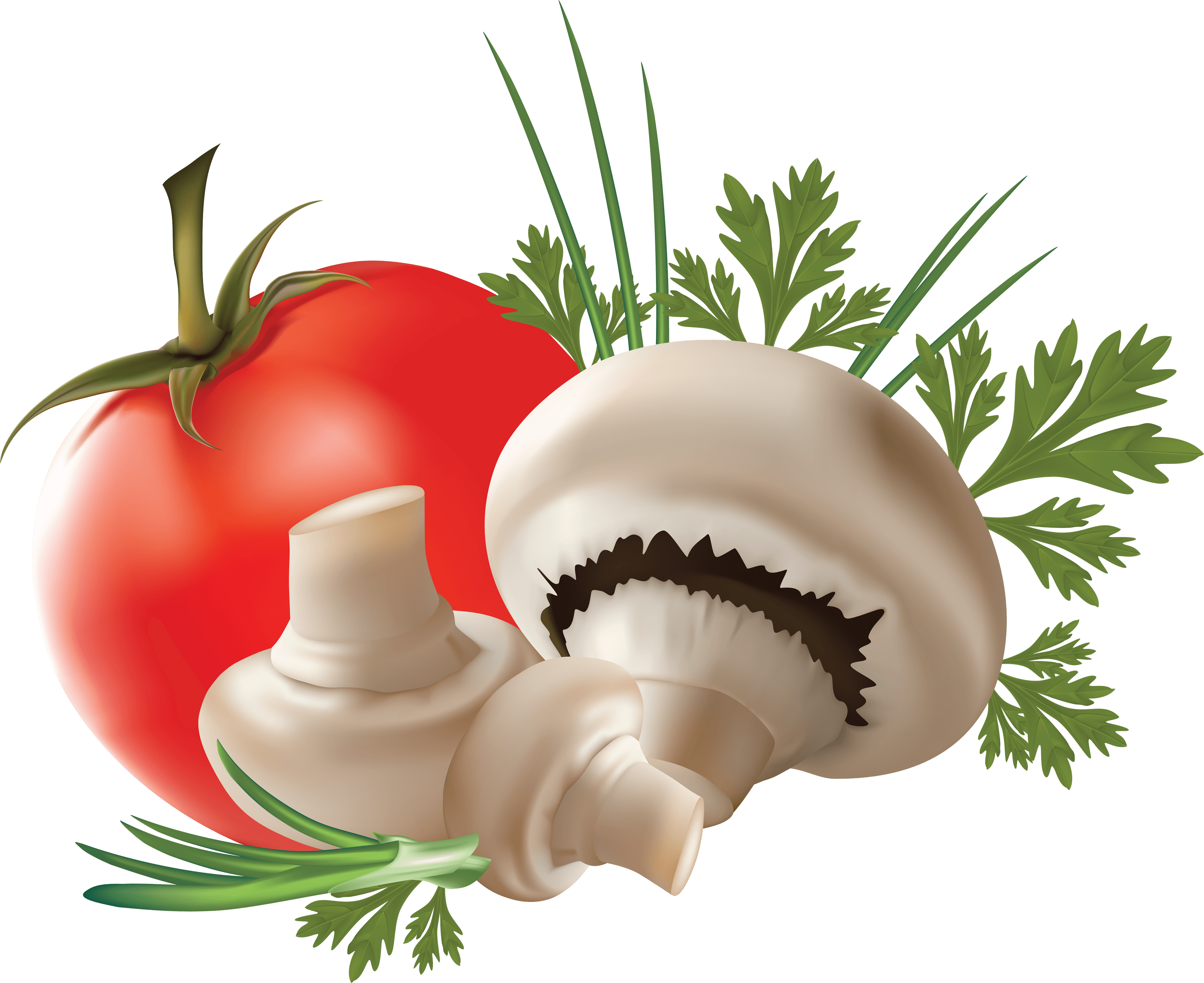 Mushroom Transparent PNG Image