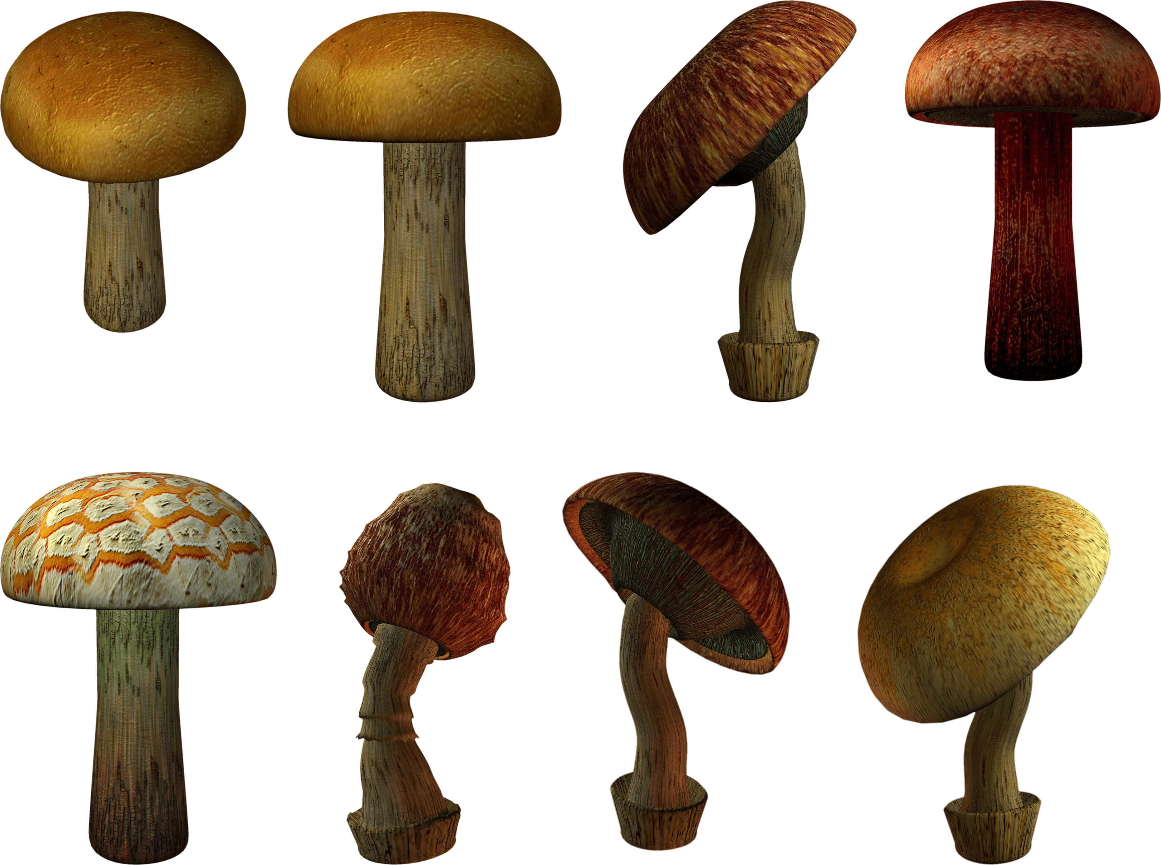 Mushroom Transparent PNG Image