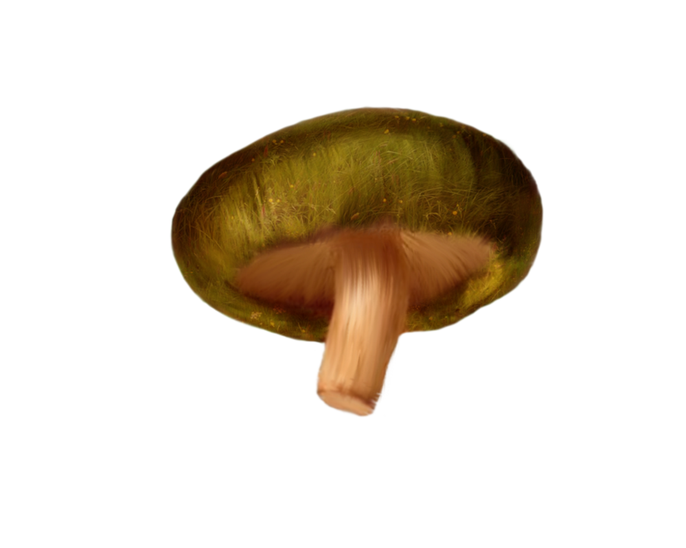 Mushroom Transparent PNG Image