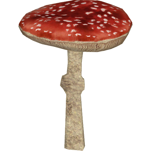 Amanita Muscaria Background Transparent PNG Image