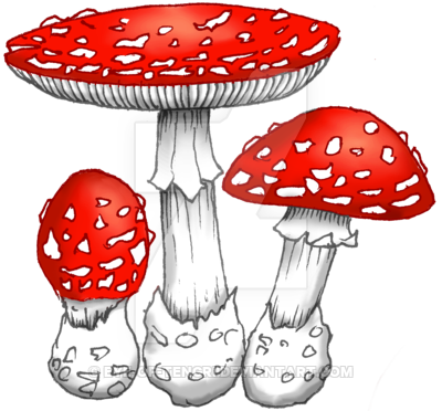 Amanita Muscaria Transparent PNG Image