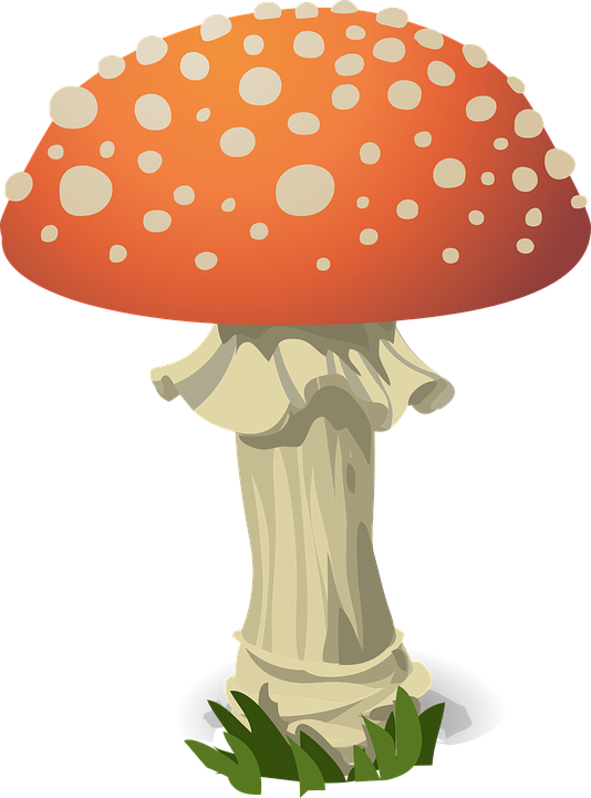Amanita Muscaria Transparent PNG Image