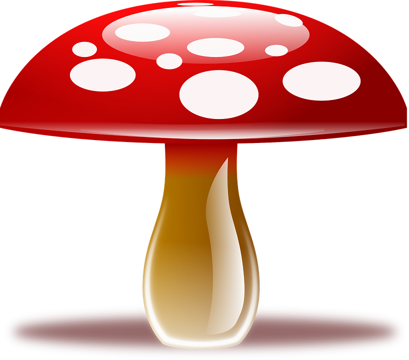 Amanita Muscaria Transparent PNG Image