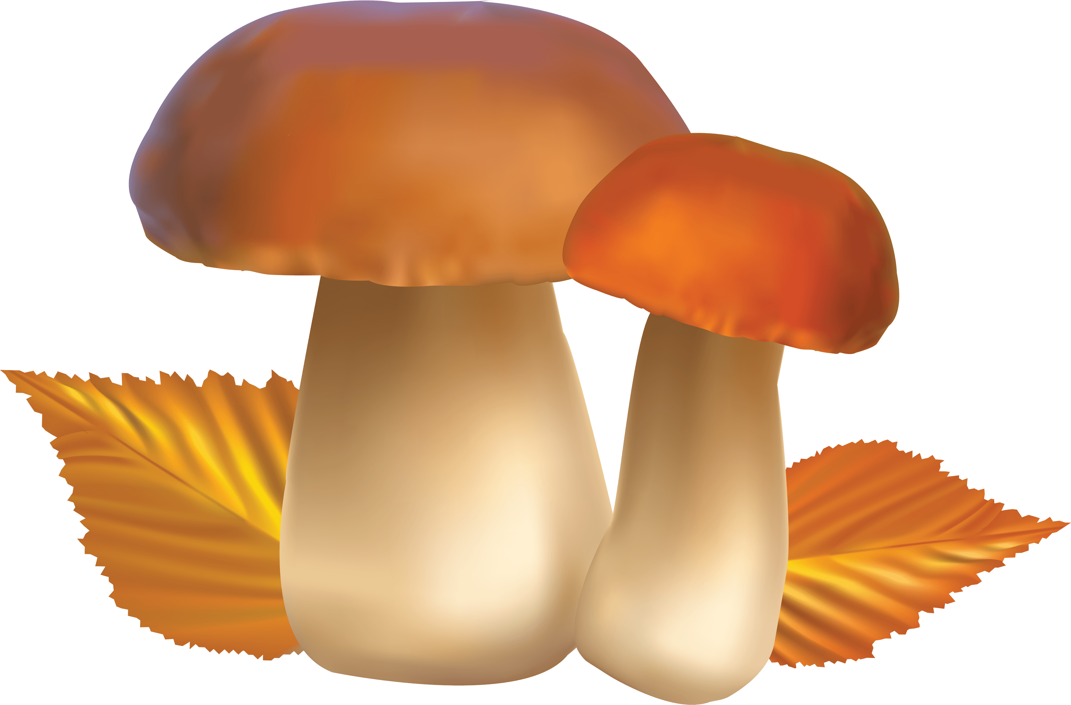 Mushroom Transparent PNG Image