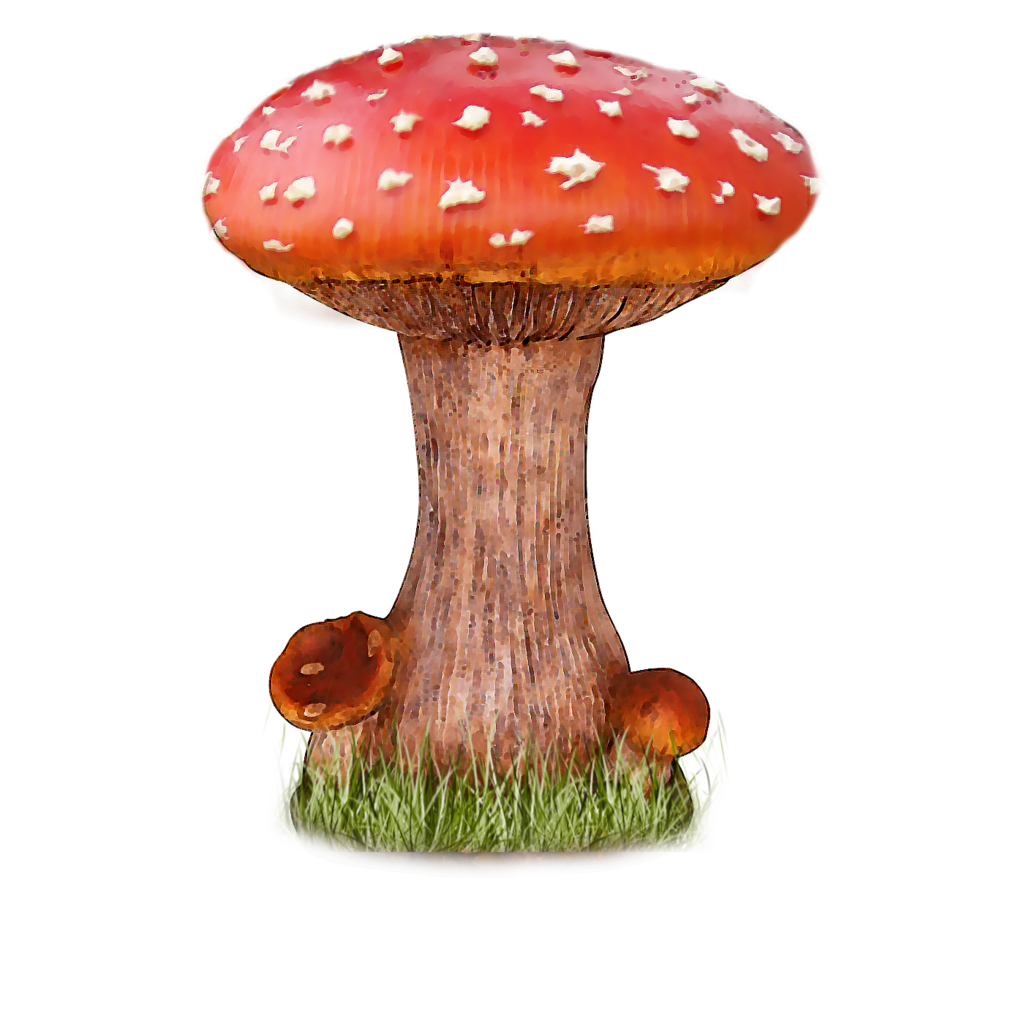 Mushroom File Transparent PNG Image