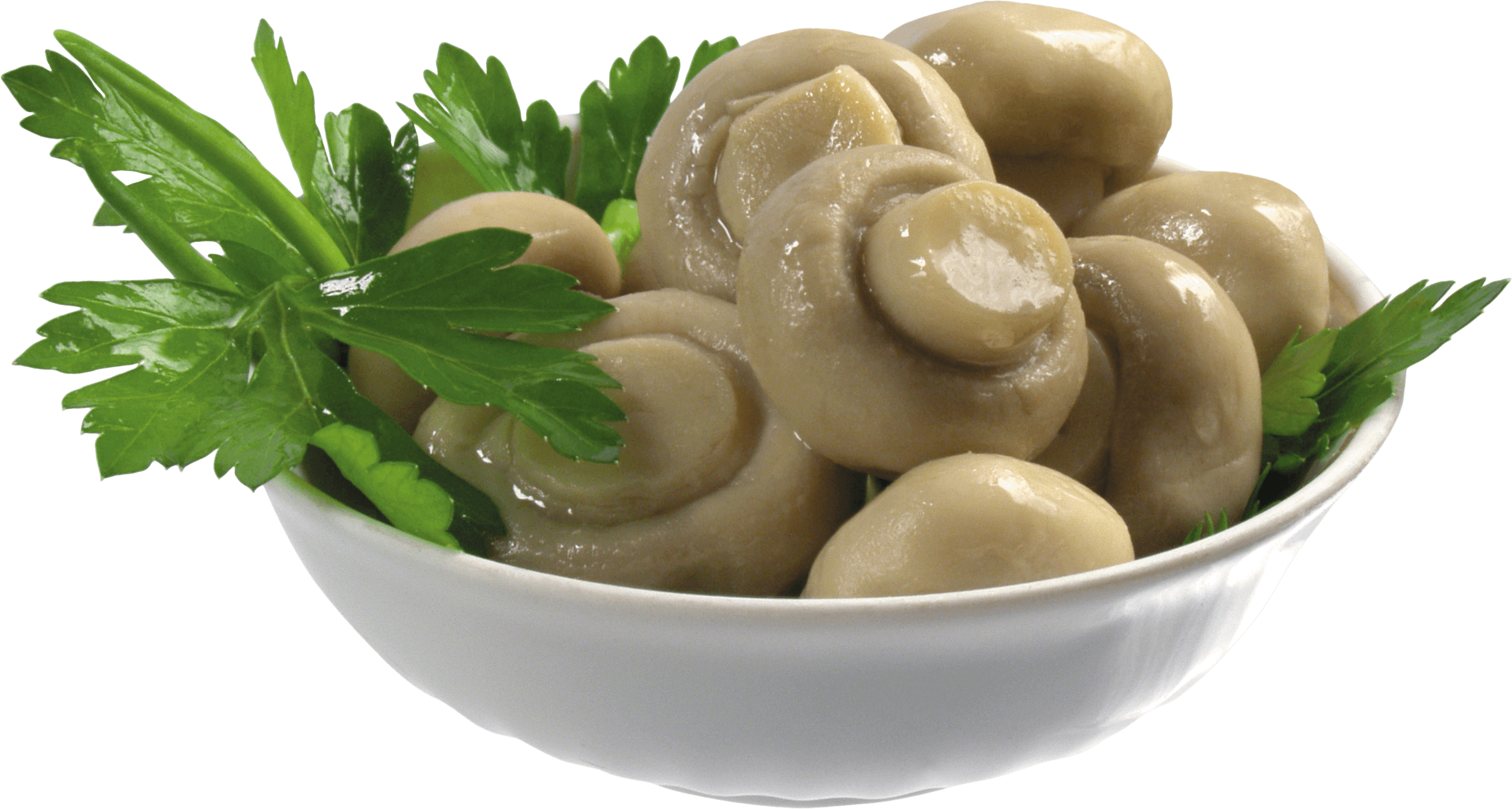 Mushroom Transparent PNG Image