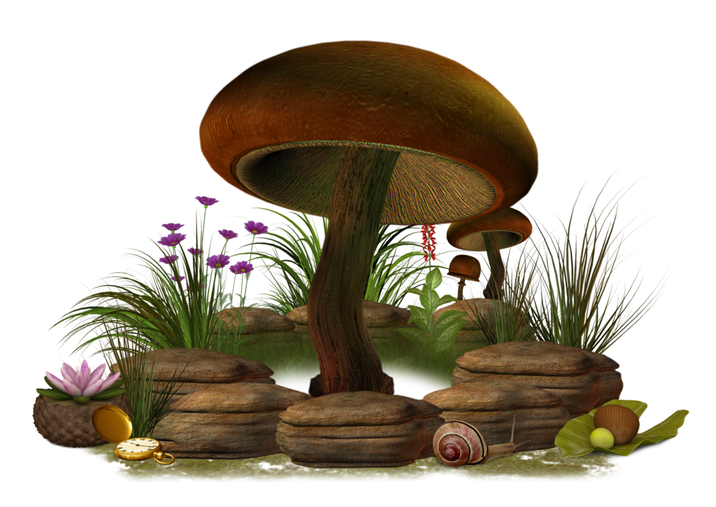 Mushroom Transparent PNG Image