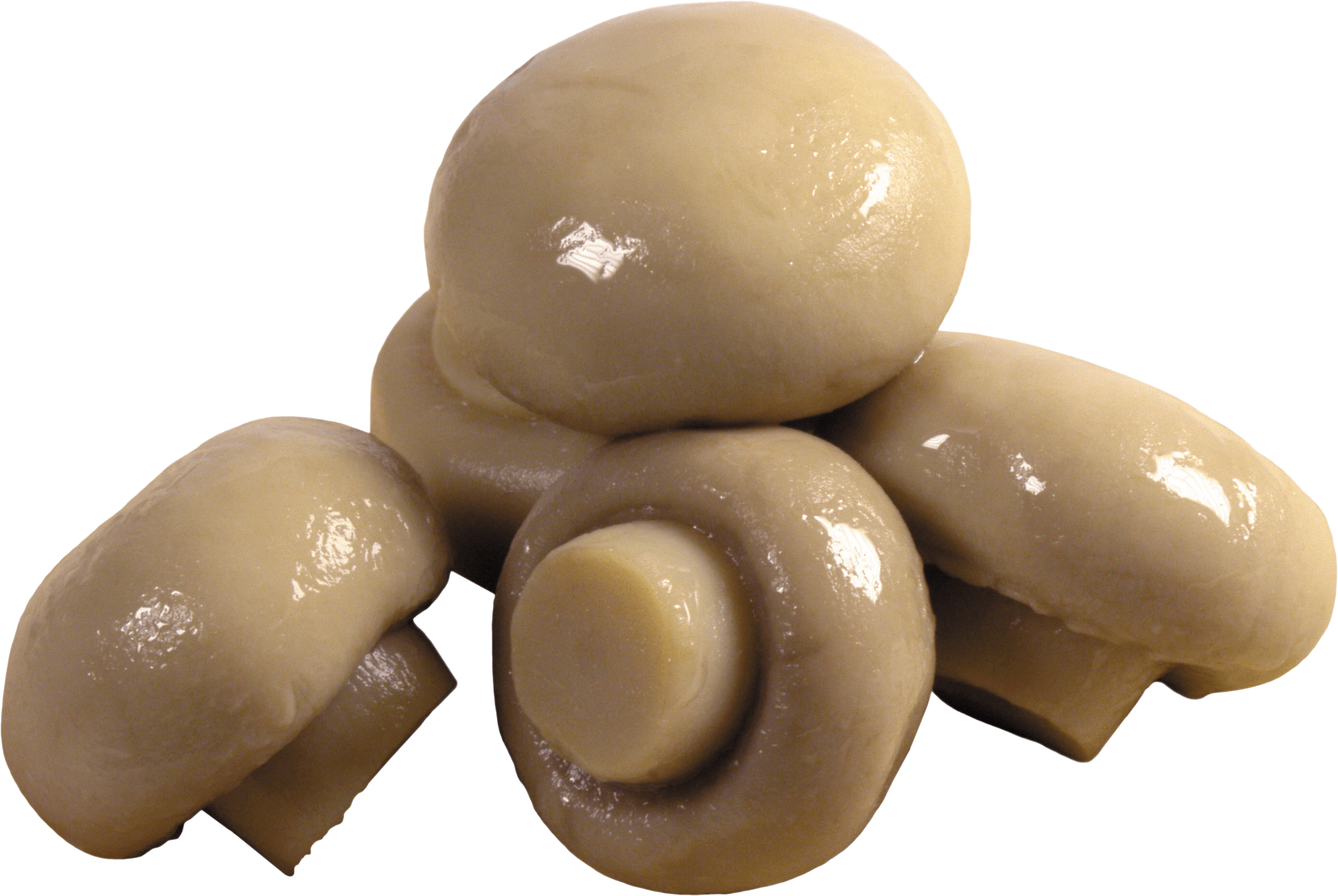 Mushroom Transparent PNG Image