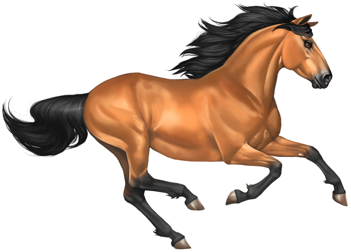 Mustang Horse Transparent PNG Image