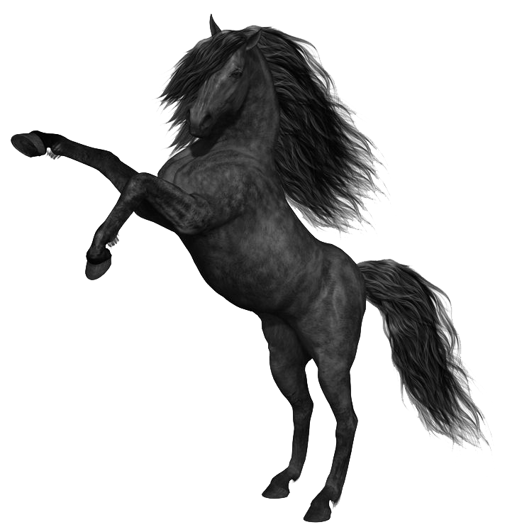 Mustang Horse Transparent PNG Image