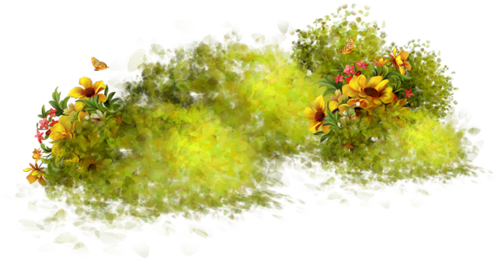 Nature Transparent PNG Image