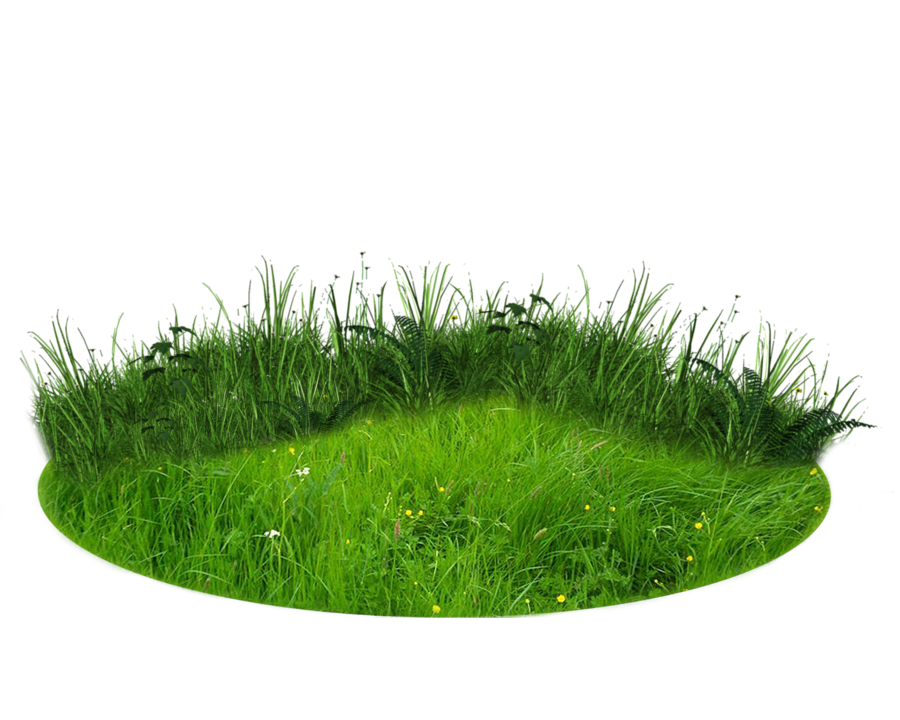 Nature Background Transparent PNG Image